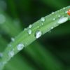 【生後4ヶ月】【生後134日目】雨ばかりで外出できない