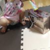 【2歳】「散らかして片付けない」から「楽しくお片づけできた」への変化