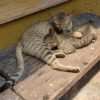 【3歳2ヵ月】イヤイヤ期の再発か？ママの思いを書き出してみる