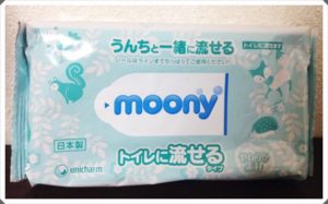 トイレに流せるタイプのおしりふき１