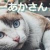 【4歳児】お気に入りのＹＯＵＴＵＢＥ動画DE暇つぶし（ピコ太郎、おしりたんていダンス他）